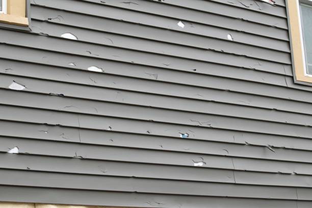 Reliable San Diego, CA Siding Installation & Repair Solutions